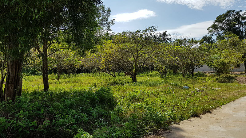 Cò đất làm giàu ở đại công trường Phú Quốc